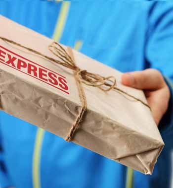 Express document delivery from Moscow to Dubai
