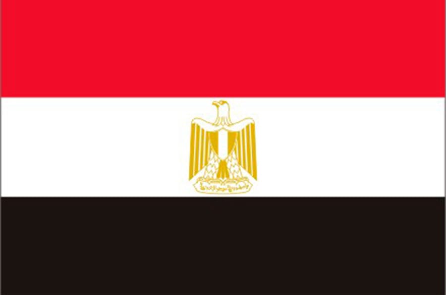 Delivery to Egypt