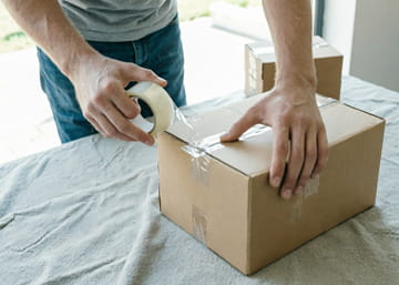 Small cargo delivery by onboard courier