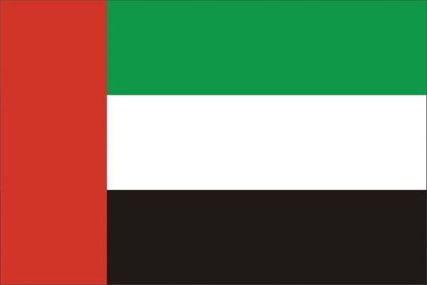 Document delivery to Dubai