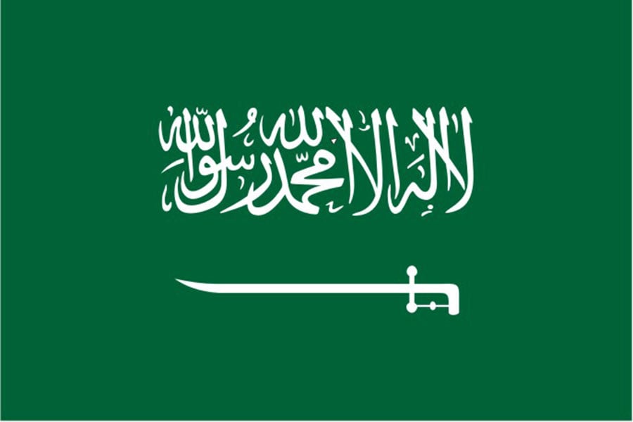 Delivery to Saudi Arabia