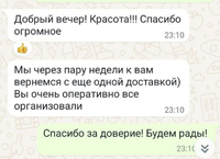 Urgent delivery of documents from St. Petersburg to Sharjah - review